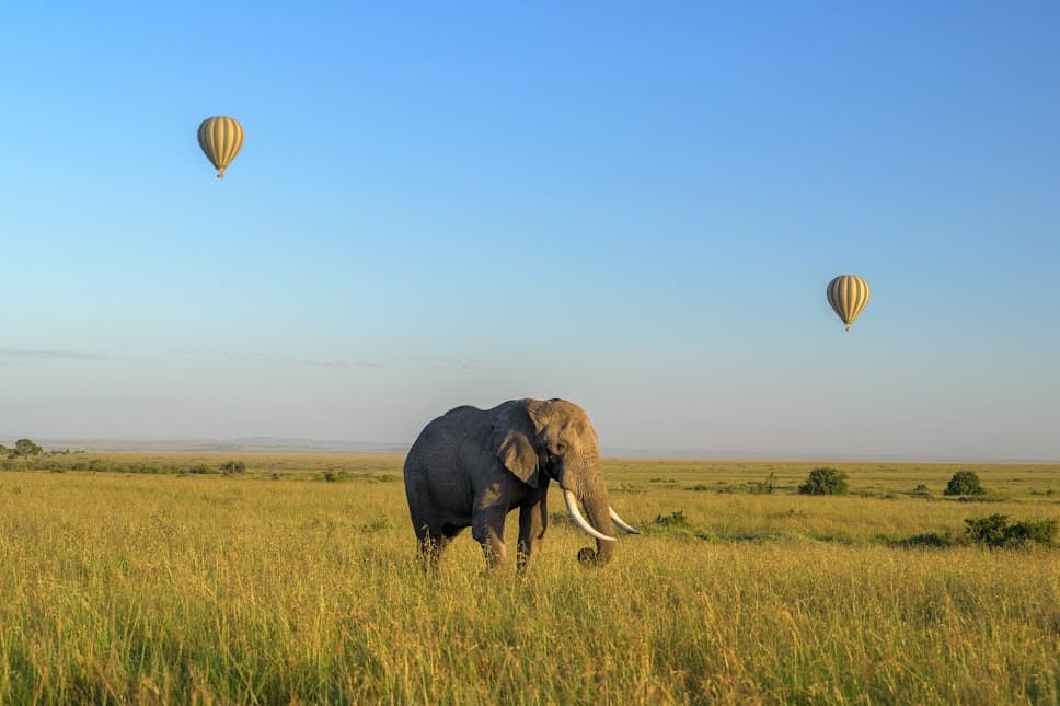 Tanzania