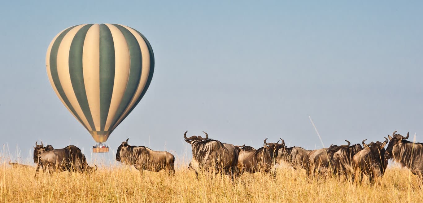 Luxury African safari landscape