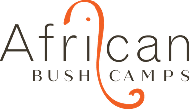 African Bush Camps