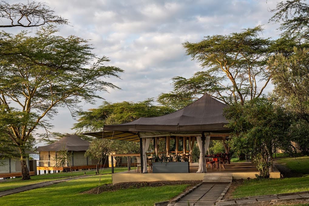 Game drive in Kenya Wildlife Service park – book fixed departure safari Kenya Tanzania Masai Mara Serengeti