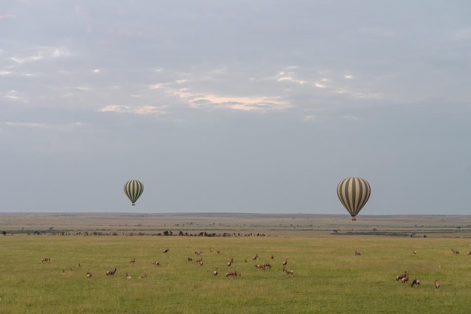 Kenya signature circuit private safari – Amboseli, Laikipia and Masai Mara luxury camps